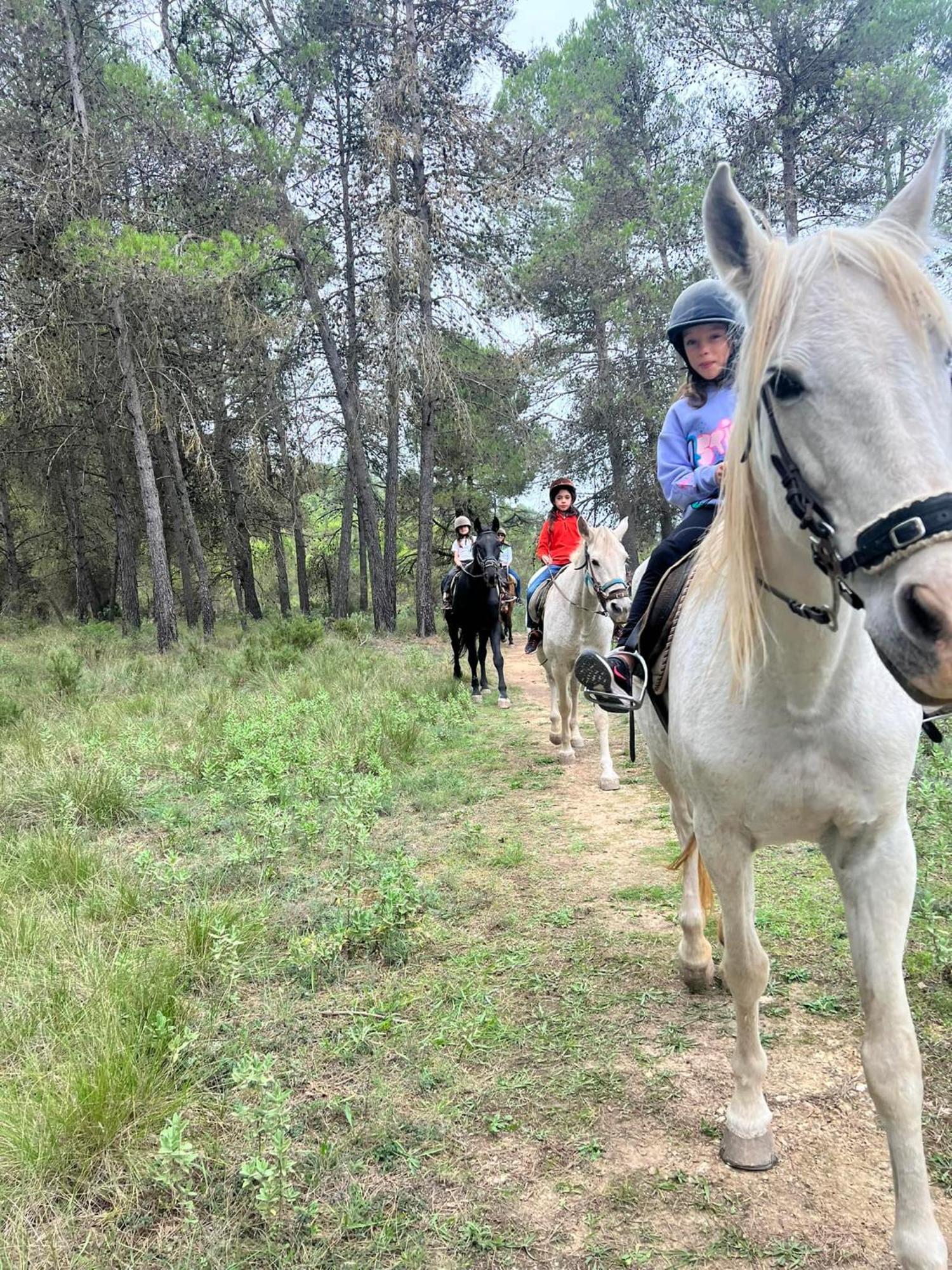 Riera Dagres Relax Rural Grupos 호스텔 외부 사진